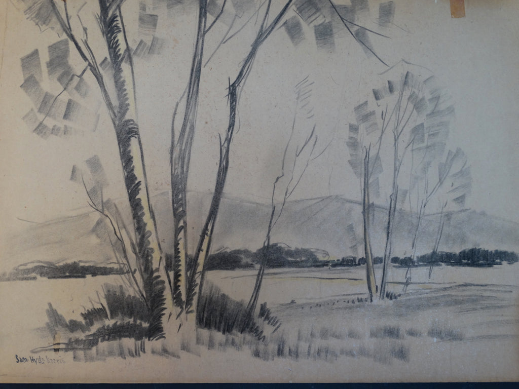 Sam Hyde Harris: California Landscape #10