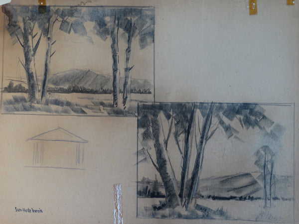 Sam Hyde Harris: Double Sketch Laguna Hills #4