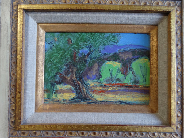 Don Burgess - California Oak - Oil on Board P2645