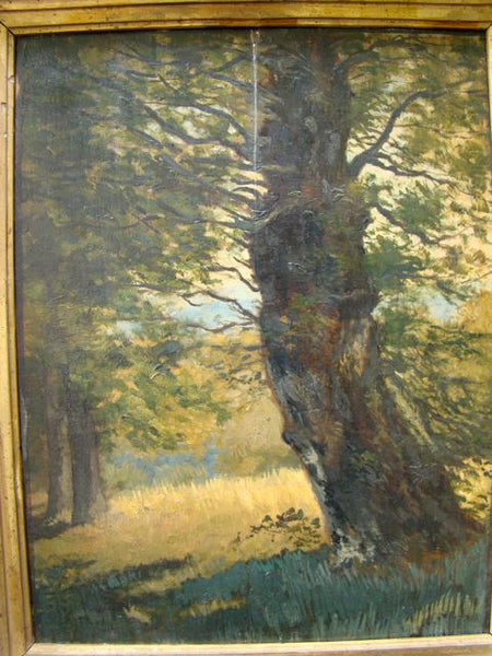Unsigned California 19th Century Plein Air Oil on Board P284