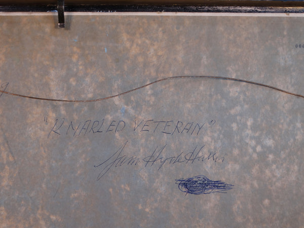 Sam Hyde Harris - Oil on Board - Signed and titled by the artist: Knarled (sic) Veteran P2914