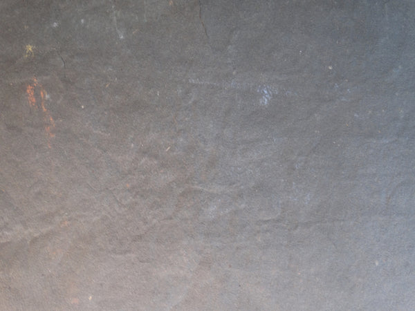 Annita Delano - Tree in Red Leaf, Yellow House - Gouache on Black Paper P3040