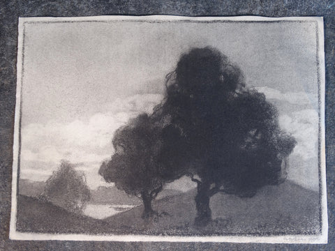 Annita Delano - Trees P3043