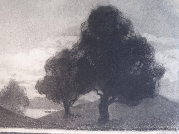 Annita Delano - Trees P3043