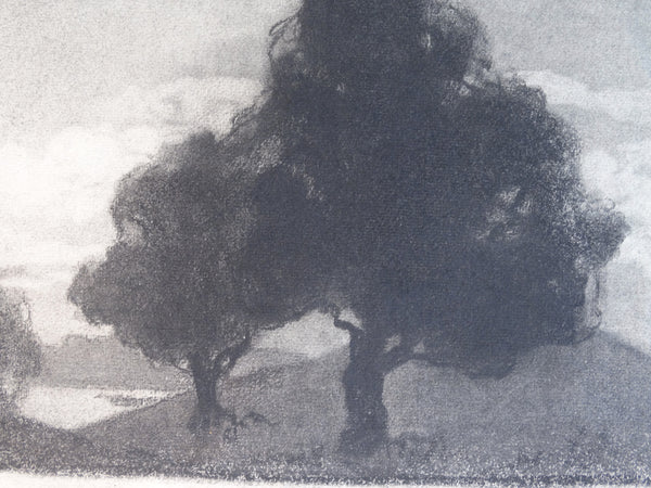 Annita Delano - Trees P3043