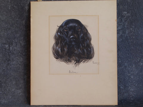 Sister: Water Color Portrait of a Black Cocker Spaniel Signed Gordon P3095