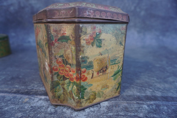 John Buchanan & Bros Four Seasons Linseed, Liquorice & Chlorodyne Lozenges Box 1865 A3362
