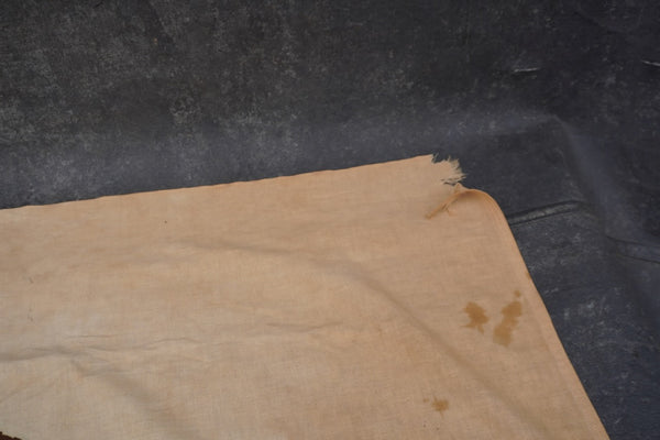 Vintage California Republic Bear Flag, c. 1940s–1960s A3486