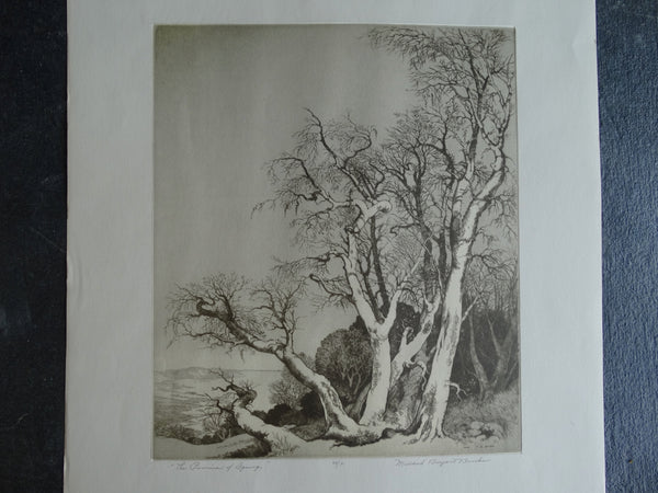 The Promise of Spring by Mildred Bryant Brooks - Original Etching AP1264