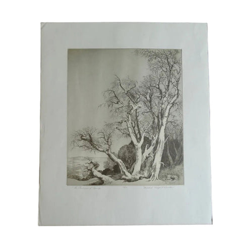 The Promise of Spring by Mildred Bryant Brooks - Original Etching AP1264