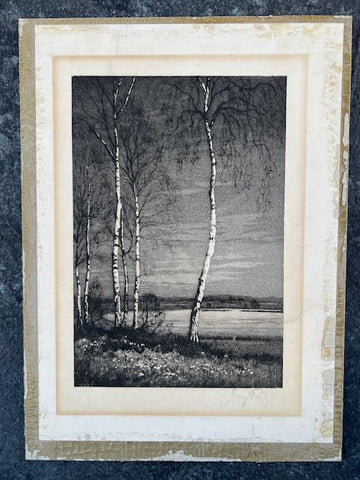 Birch Trees in Winter - Etching - Signed AP1758