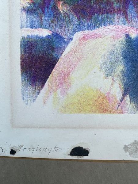 Henri de Kruif - Troglodyte - Color Lithograph AP1760
