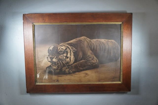 19th Century Black and White Lithograph of a Tiger AP1775