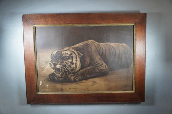 19th Century Black and White Lithograph of a Tiger AP1775