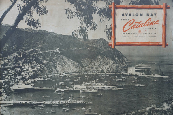 Catalina Swimwear In-Store Display Advertising Poster c 1940s AP1843