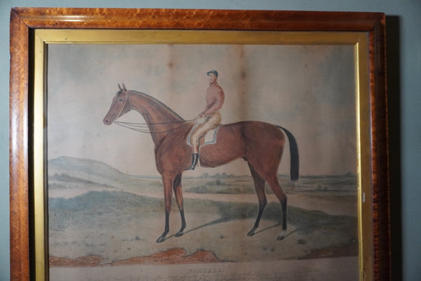 Hand Colored Foxhall Art Piece, 19th century AP1895
