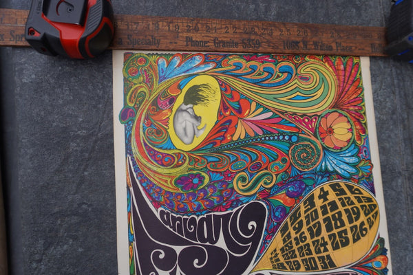 Psychedelic Calendar Poster by Carson Morris AP2020