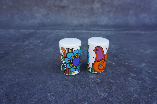 Villery & Boch Acapulco Set of Salt & Pepper Shakers CA2044