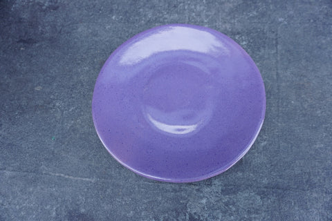 Brayton Laguna Plate in Purple CA2570