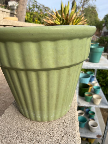 Garden City Pale Green Ribbed Jardiniere CA2602