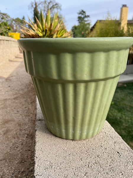 Garden City Pale Green Ribbed Jardiniere CA2602