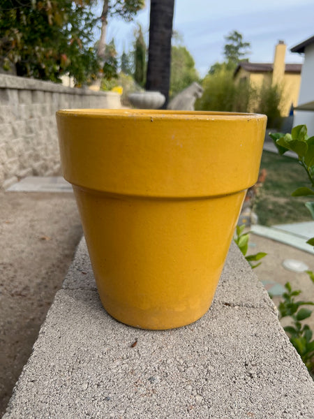 Garden City Slim Pot in Yellow CA2604