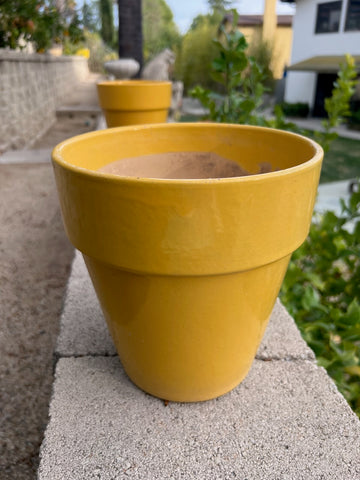 Garden City Slim Pot in Yellow CA2605