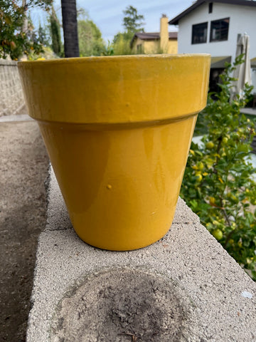 Garden City Slim Pot in Yellow CA2606