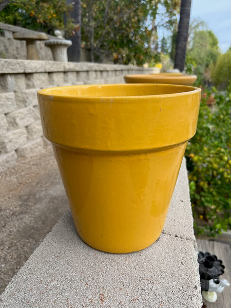 Garden City Slim Pot in Yellow CA2607