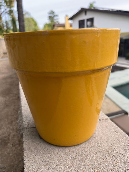 Garden City Slim Pot in Yellow CA2607