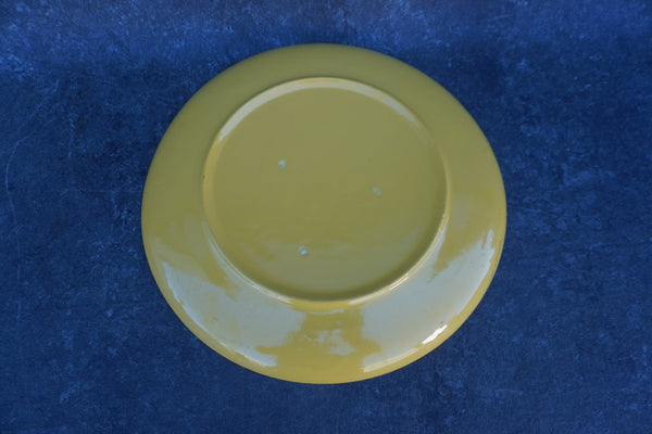 Garden City Charger Plate in Yellow CA2635