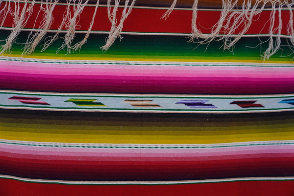 Mexican Pictorial Serape with Bitterlies & Moths  c 1930s M1951