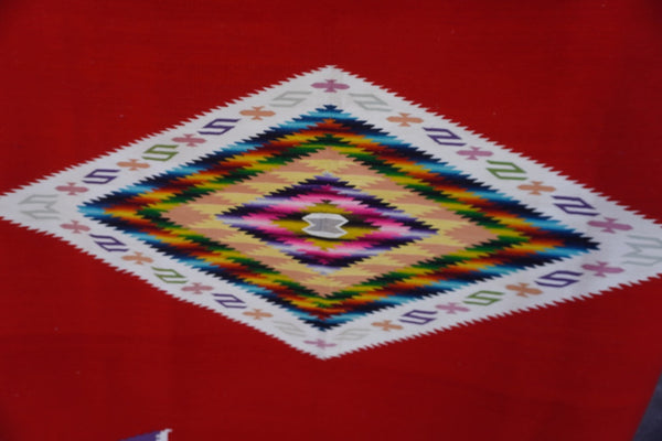 Mexican Pictorial Serape with Bitterlies & Moths  c 1930s M1951