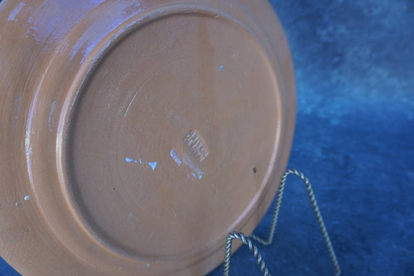 Mexican Decorative Wall Plate, Donkey among Cacti M1967