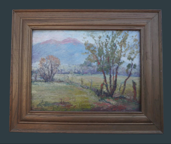 California Landscape, Oil on Board P3384