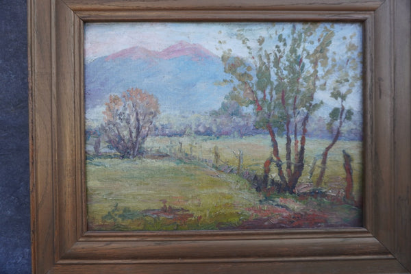 California Landscape, Oil on Board P3384