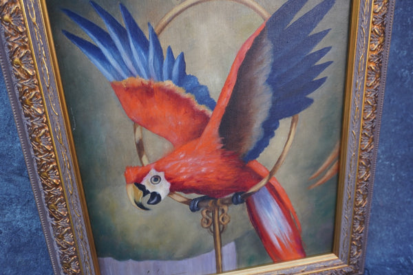 Vin Ginia - Parrot - Oil on Board P3414