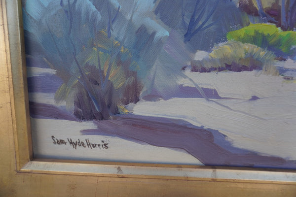 Smoke Tree Acres by Sam Hyde Harris, Oil on Canvas P3441