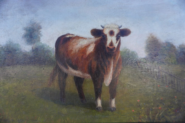 Victorian Era Guernsey Cow Portrait, Oil on Canvas P3453