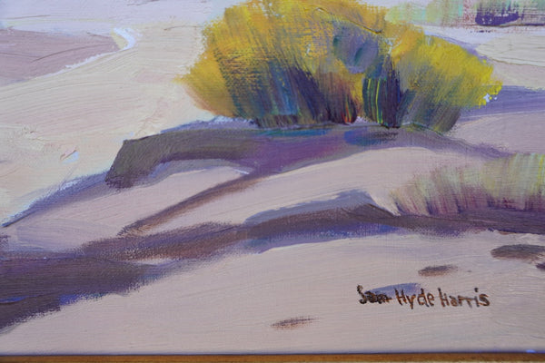 Smoke Tree by Sam Hyde Harris, Oil on Canvas P3491