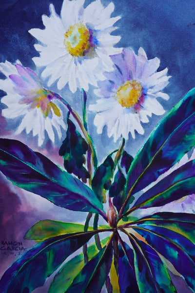 Daisies by Ramon Garcia, Watercolor on Paper P3530