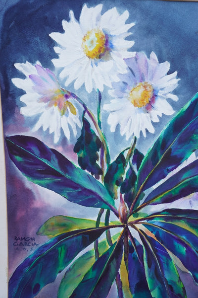 Daisies by Ramon Garcia, Watercolor on Paper P3530