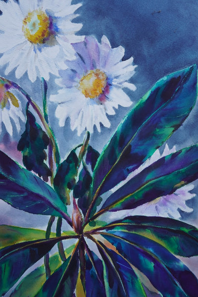 Daisies by Ramon Garcia, Watercolor on Paper P3530