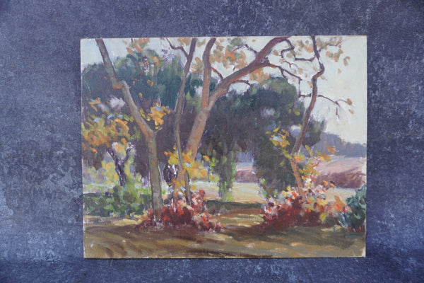 California Plein Air by Jack Macartney, Oil on Board P3597