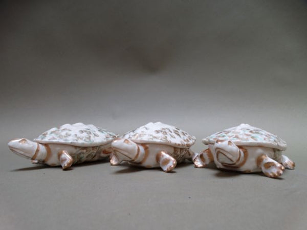 French Porcelain Turtle Dishes