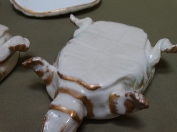 French Porcelain Turtle Dishes