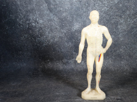 Acupuncture Medical Rubber Model Figure 1960s A2549