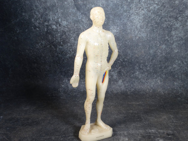 Acupuncture Medical Rubber Model Figure 1960s A2549