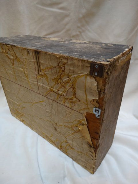 Victorian Taxidermy Box of Birds
