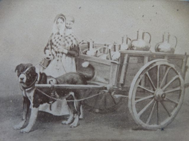 Vintage Photograph Draught-Dog & Dogcart & Milkmaid c 1860